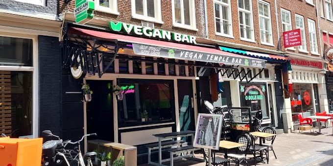 Vegan temple bar Amsterdam - terrace view